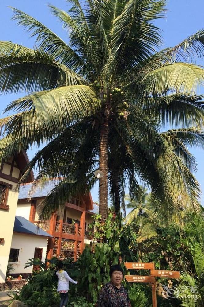 Hainan Bulongsai Resort Hotel Baoting Dış mekan fotoğraf